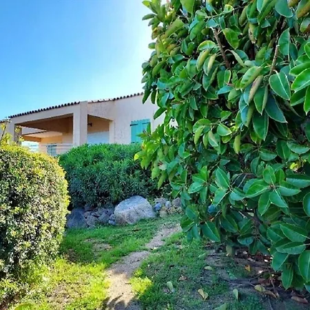 Villa Avec Vue Panoramique Et Piscine Privee A Corbara Villa *